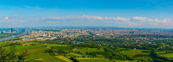 Avusturalya 'daki Kahlenberg Tepesi' nden alınan Viyana manzarası