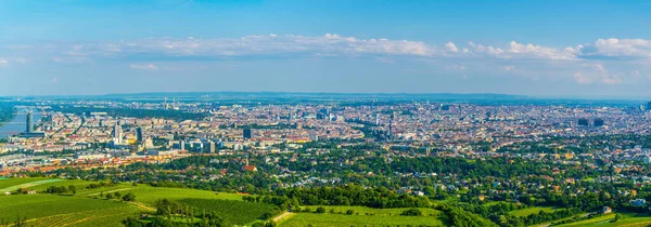 Vue Panoramique Vienne Prise Colline Kahlenberg Autriche — Photo