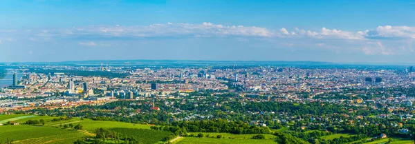 Panoramisch Uitzicht Uitzicht Vanaf Kahlenberg Heuvel Oostenrijk — Stockfoto