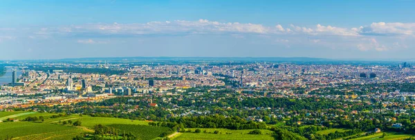 Avusturalya 'daki Kahlenberg Tepesi' nden alınan Viyana manzarası