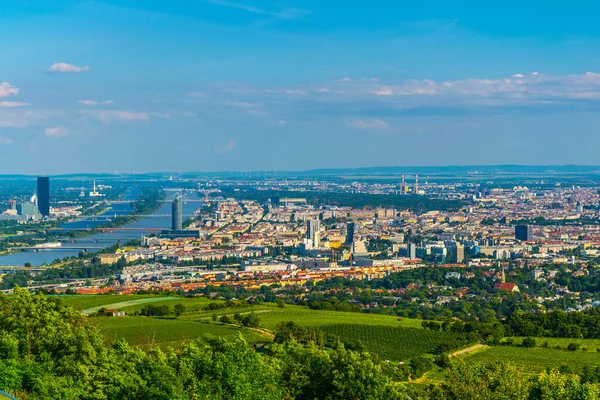 Avusturalya 'daki Kahlenberg Tepesi' nden alınan Viyana manzarası