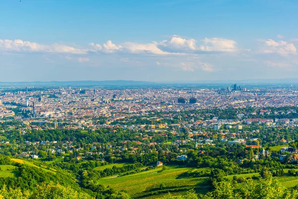 Panoramablick Auf Wien Vom Kahlenberg Österreich — Stockfoto