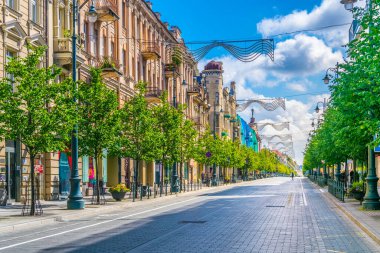 Gedimino prospektas (Gediminas Caddesi) Litvanya 'nın Vilnius şehrinin ana caddesidir.