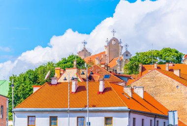 Litvanya 'nın eski Vilnius şehrinin renkli cepheleri