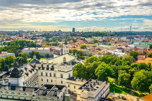 Litvanya Büyük Dükleri ve Vilnius Katedrali 'nin hava manzarası.