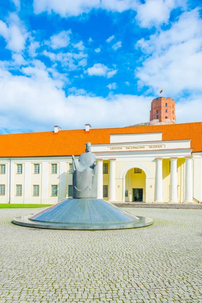 Litvanya Ulusal Müzesi Vilnius, Litvanya 'daki Gediminas Tepesi' nin altında.