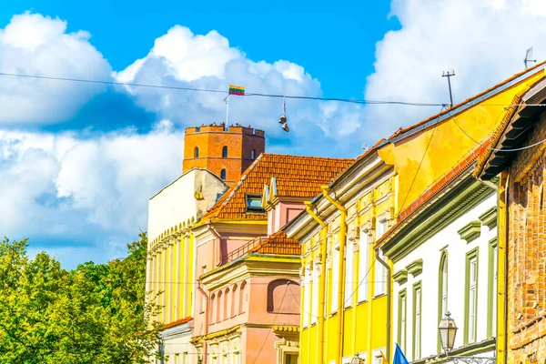 Eski Vilnius kasabasının renkli cepheleri ve Litvanya 'nın gediminas kalesi