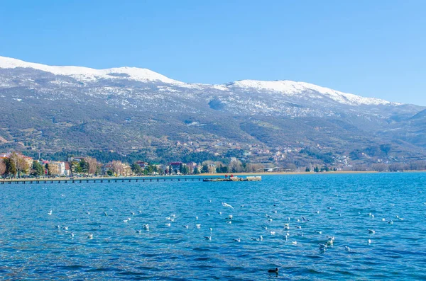 Masonya 'daki Ohrid Gölü manzarası.