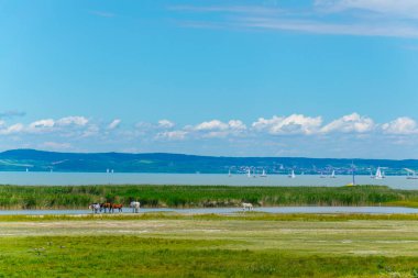 Avusturya ile Macaristan arasındaki sınırda bir göl görüldü.