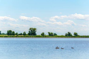 Avusturya 'nın Burgenland şehrinde bulunan bir tuz gölü..