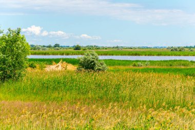 Avusturya 'nın Burgenland şehrinde bulunan bir tuz gölü..
