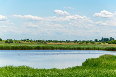 Avusturya 'nın Burgenland şehrinde bulunan bir tuz gölü..