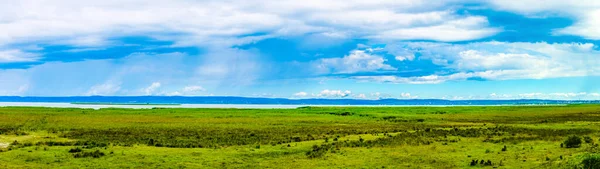 Neusiedlersee Lake Border Austria Hungary — Stock fotografie