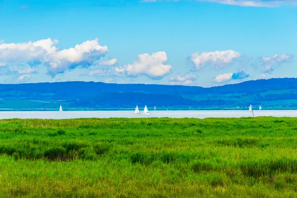 Avusturya ile Macaristan arasındaki sınırda bir göl görüldü.