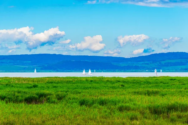Avusturya ile Macaristan arasındaki sınırda bir göl görüldü.