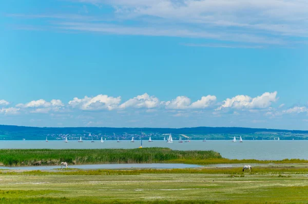 Avusturya ile Macaristan arasındaki sınırda bir göl görüldü.