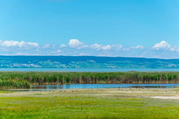 Avusturya ile Macaristan arasındaki sınırda bir göl görüldü.