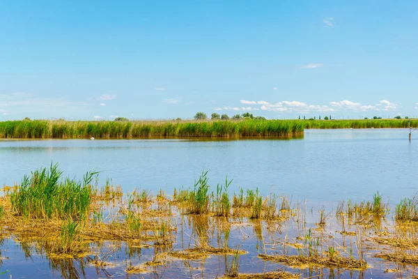 Avusturya 'nın Burgenland şehrinde bulunan bir tuz gölü..