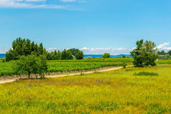 View Path Saline Lakes Situated Next Neusiedlersee Burgenland Austria — ストック写真