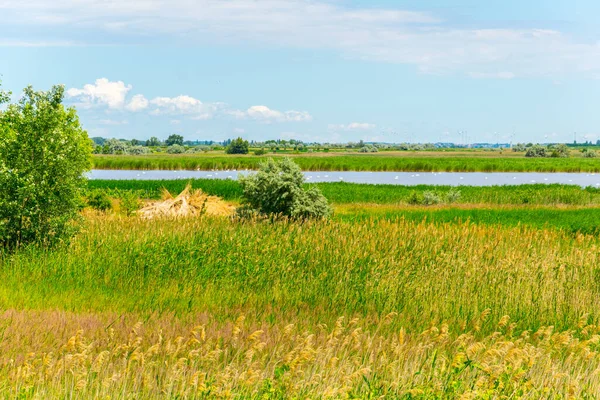 Avusturya 'nın Burgenland şehrinde bulunan bir tuz gölü..