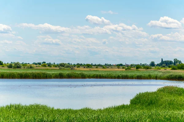 Avusturya 'nın Burgenland şehrinde bulunan bir tuz gölü..