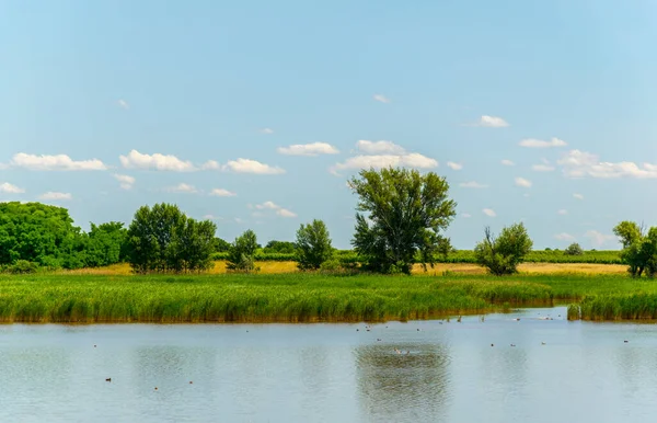 Avusturya 'nın Burgenland şehrinde bulunan bir tuz gölü..