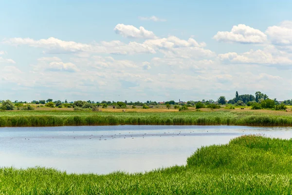 Avusturya 'nın Burgenland şehrinde bulunan bir tuz gölü..