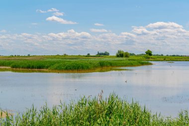 Avusturya 'nın Burgenland şehrinde bulunan bir tuz gölü..