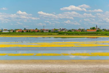 Avusturya 'nın Burgenland kentindeki Neusiedlersee ve Ilmitz köylerinin yanında bulunan bir tuzlu göl..