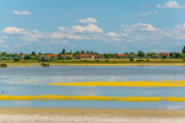 Avusturya 'nın Burgenland kentindeki Neusiedlersee ve Ilmitz köylerinin yanında bulunan bir tuzlu göl..