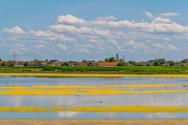 Avusturya 'nın Burgenland kentindeki Neusiedlersee ve Ilmitz köylerinin yanında bulunan bir tuzlu göl..