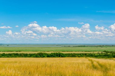 Avusturya ile Macaristan arasındaki sınırda bir göl görüldü.
