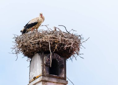 Avusturya 'nın Rust kenti. Neusiedler' in yanında yer alan göl, yaz mevsiminde yerel evlerin bacalarında yuva yapan leyleklerle ünlüdür..