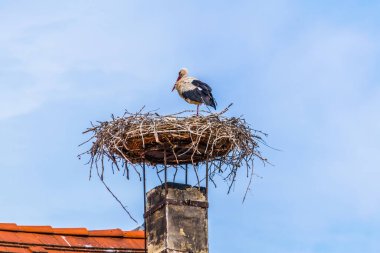 Avusturya 'nın Rust kenti. Neusiedler' in yanında yer alan göl, yaz mevsiminde yerel evlerin bacalarında yuva yapan leyleklerle ünlüdür..