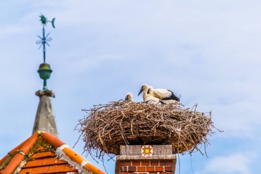 Avusturya 'nın Rust kenti. Neusiedler' in yanında yer alan göl, yaz mevsiminde yerel evlerin bacalarında yuva yapan leyleklerle ünlüdür..