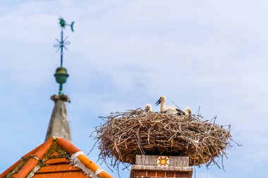 Avusturya 'nın Rust kenti. Neusiedler' in yanında yer alan göl, yaz mevsiminde yerel evlerin bacalarında yuva yapan leyleklerle ünlüdür..