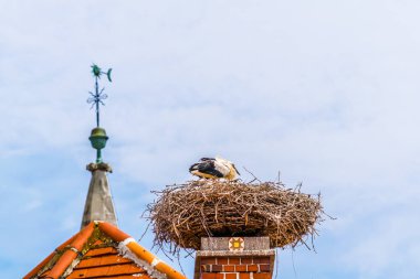 Avusturya 'nın Rust kenti. Neusiedler' in yanında yer alan göl, yaz mevsiminde yerel evlerin bacalarında yuva yapan leyleklerle ünlüdür..