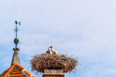 Avusturya 'nın Rust kenti. Neusiedler' in yanında yer alan göl, yaz mevsiminde yerel evlerin bacalarında yuva yapan leyleklerle ünlüdür..