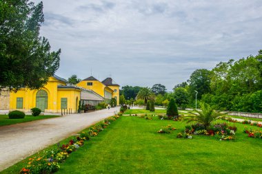 Avusturya 'nın Eisenstadt kentindeki Esterhazy saray parkında botanik bahçesi manzarası