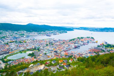 Bergen 'e ve limana dağ çiçeğinden bak.