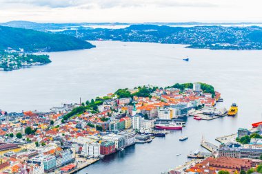 Bergen 'e ve limana dağ çiçeğinden bak.