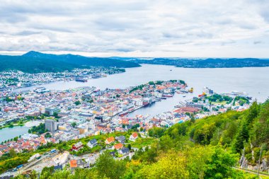 Bergen 'e ve limana dağ çiçeğinden bak.