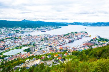 Bergen 'e ve limana dağ çiçeğinden bak.