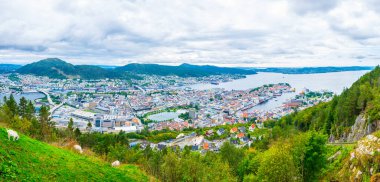 Bergen 'e ve limana dağ çiçeğinden bak.