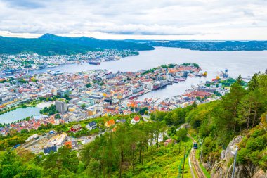 Bergen 'e ve limana dağ çiçeğinden bak.