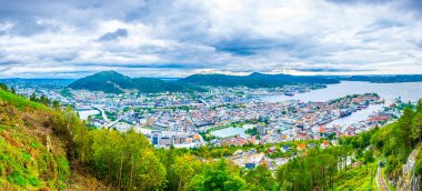 Bergen 'e ve limana dağ çiçeğinden bak.