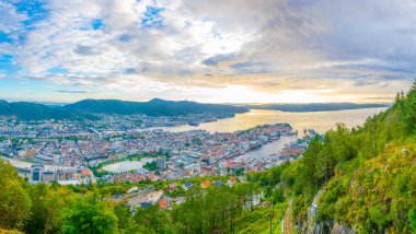 Bergen 'de gün batımı manzarası ve dağ çiçeğinden liman manzarası