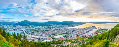 Bergen 'de gün batımı manzarası ve dağ çiçeğinden liman manzarası