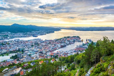 Bergen 'de gün batımı manzarası ve dağ çiçeğinden liman manzarası