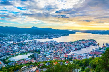 Bergen 'de gün batımı manzarası ve dağ çiçeğinden liman manzarası